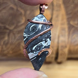 Rare Black + White Fossilized Palm Root Pendant - Copper Wrap Pendant