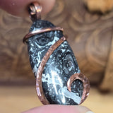 Rare Black and White Fossilized Palm Root Pendant – Copper Setting