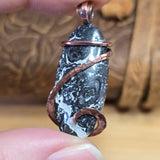 Rare Black and White Fossilized Palm Root Pendant – Copper Setting