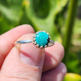 Natural Turquoise Ring sz 12 – Sterling Silver Hammered Band