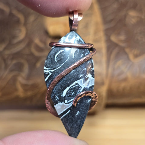Rare Black + White Fossilized Palm Root Pendant - Copper Wrap Pendant