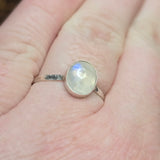 Moonstone Ring sz 11 – Golden + Ice Blue Flash Sterling Silver