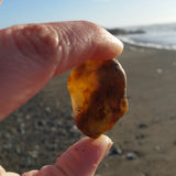 Beachcombing Tours with Laura Joki - Rock Your World 