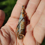 Widowmaker Plume Agate Pendant in 14kt Yellow Gold Fill