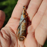 Widowmaker Plume Agate Pendant in 14kt Yellow Gold Fill