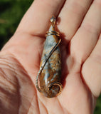 Widowmaker Plume Agate Pendant in 14kt Yellow Gold Fill