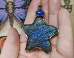 Carved Blue Labradorite Starfish Pendant with Lapis Accent