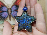 Carved Blue Labradorite Starfish Pendant with Lapis Accent