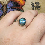 Large Labradorite Ring in Sterling Silver Sz 9.5