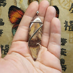 Apache Picture Jasper Pendant in Sterling Silver