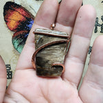 Petrified Wood Agate Pendant in Hammered Copper