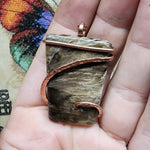 Petrified Wood Agate Pendant in Hammered Copper