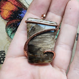 Petrified Wood Agate Pendant in Hammered Copper