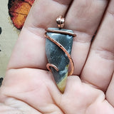 Oregon Bumblebee Plume Agate Tooth Shaped Pendant in Copper