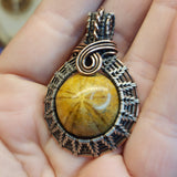 Fossil Sanddollar Seabiscuit Pendant Necklace in Silver and Copper